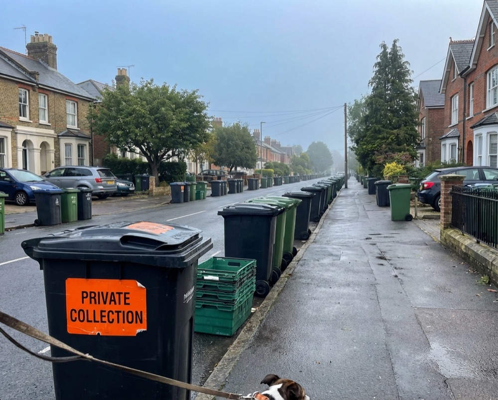 Residential street with bins in Felpham awaiting collection